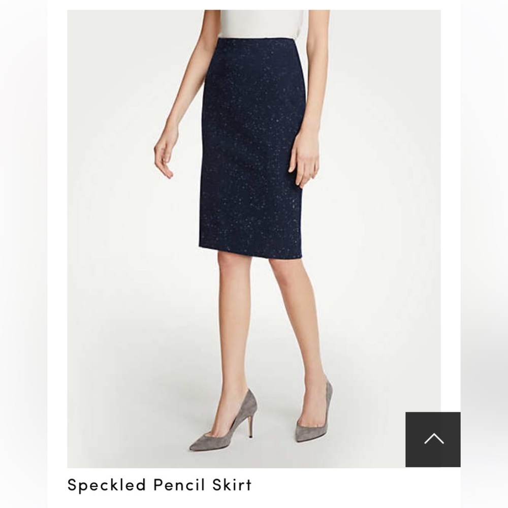 Ann Taylor Pencil Skirt